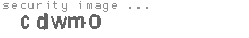 security image