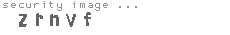 security image
