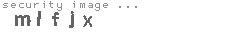 security image