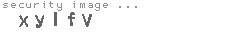 security image