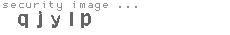 security image