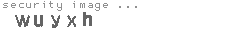 security image