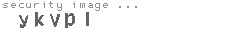 security image