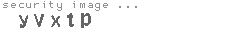 security image