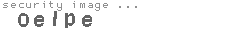 security image