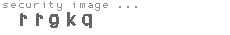security image