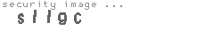 security image