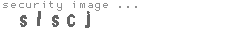 security image