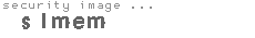 security image
