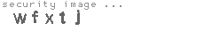 security image