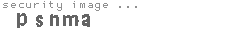 security image