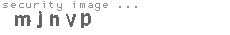 security image