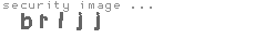 security image
