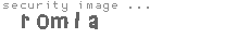 security image