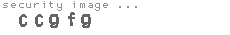 security image