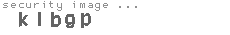 security image