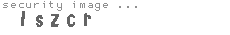 security image