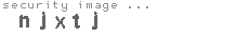 security image