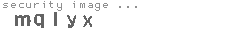 security image