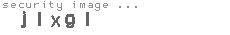 security image