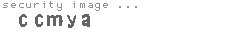 security image