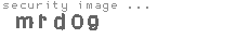 security image