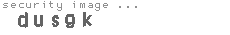 security image