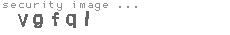 security image