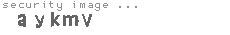 security image