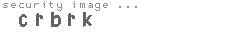 security image