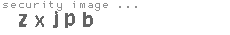 security image