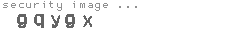 security image