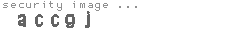 security image