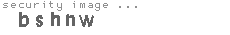 security image