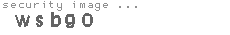 security image