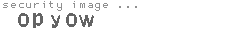 security image