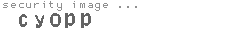 security image