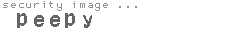 security image