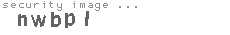 security image