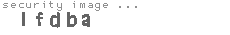 security image