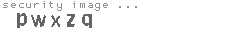 security image