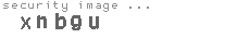 security image