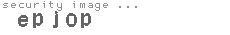 security image