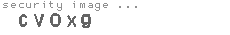 security image