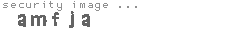 security image