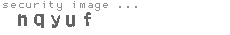 security image
