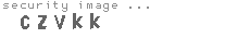 security image