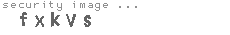 security image