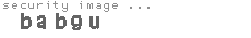 security image