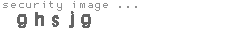 security image
